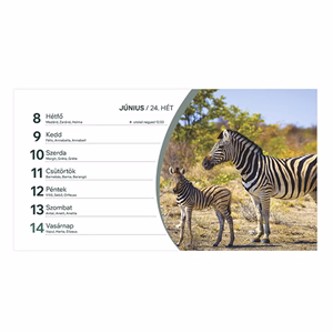 Asztali naptár képes TOPTIMER T058 álló fehér lapos Állatvilág 2026.