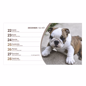 Asztali naptár képes TOPTIMER T058 álló fehér lapos Kutyák 2026. Asztali naptár képes TOPTIMER T058 álló fehér lapos Kutyák 2026.