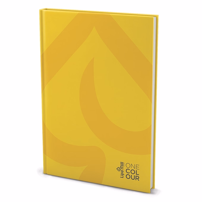 Beírókönyv kockás LIPAMILL A/4 192 lapos Office keményfedeles