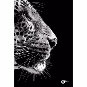 Beírókönyv vonalas STREET A/5 96 lapos S-Line keményfedelű vegyes mintákkal