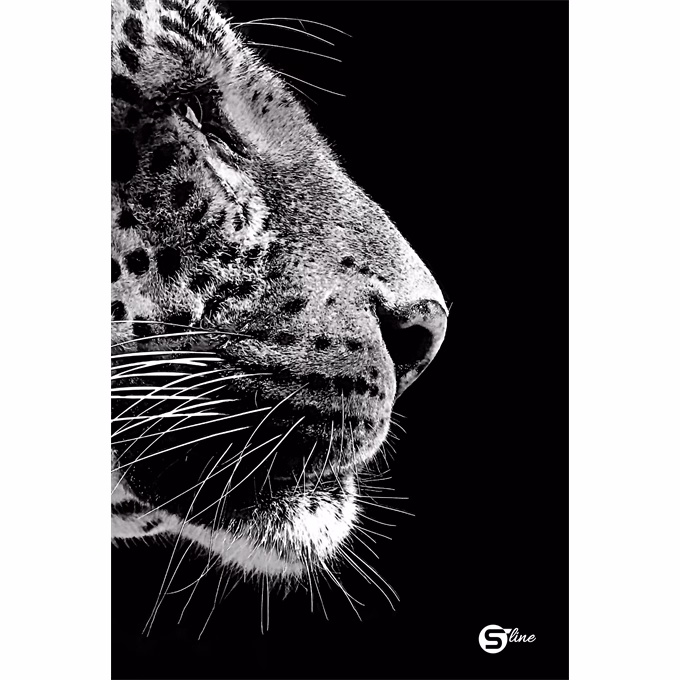 Beírókönyv vonalas STREET A/5 96 lapos S-Line keményfedelű vegyes mintákkal