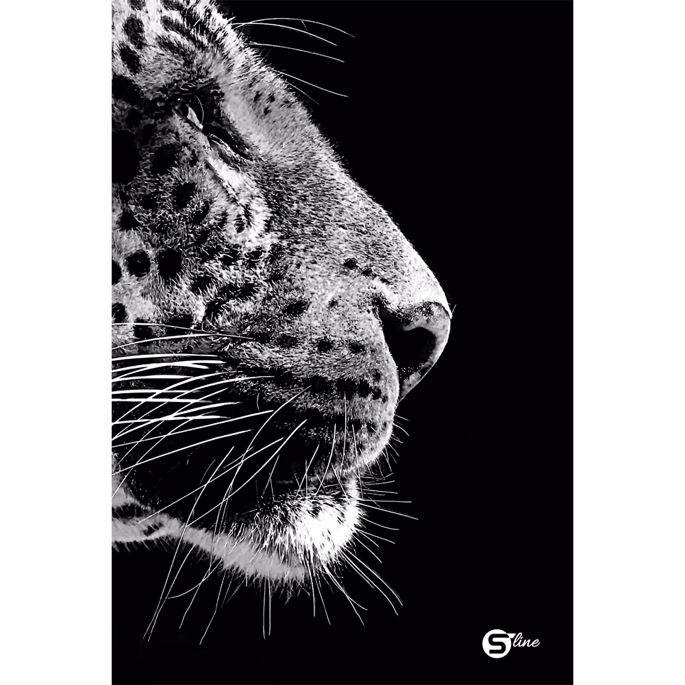 Beírókönyv vonalas STREET A/5 96 lapos S-Line keményfedelű vegyes mintákkal