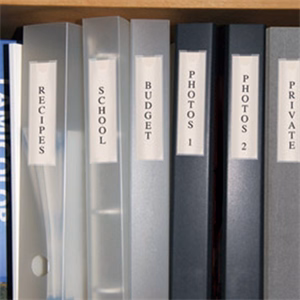 Címketartó tok DJOIS öntapadós gerincjelölő betétlappal 25x102 mm 12 darabos