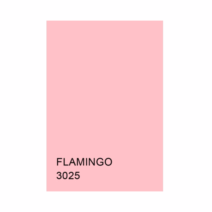 Dekorációs karton KASKAD 70x100 cm 2 oldalas 225 g flamingo 3025