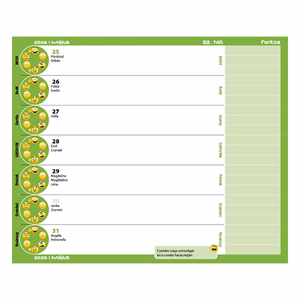 Diák zsebkönyv REALSYSTEM papírborító 125x205mm graffiti 2025-2026