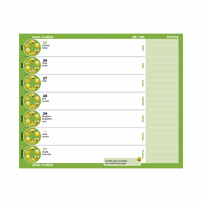 Diák zsebkönyv REALSYSTEM papírborító 125x205mm graffiti 2025-2026