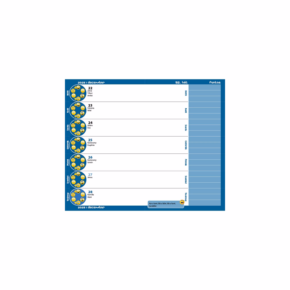 Diák zsebkönyv REALSYSTEM papírborító 125x205mm graffiti 2025-2026