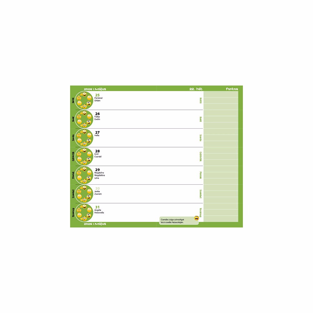 Diák zsebkönyv REALSYSTEM papírborító 125x205mm graffiti 2025-2026