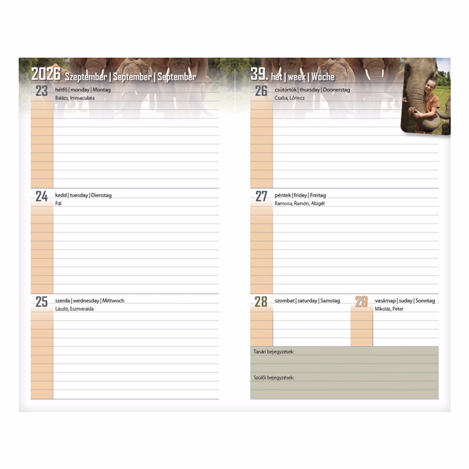 Diák zsebkönyv REALSYSTEM papírborító 125x205mm mackó 2026-2027