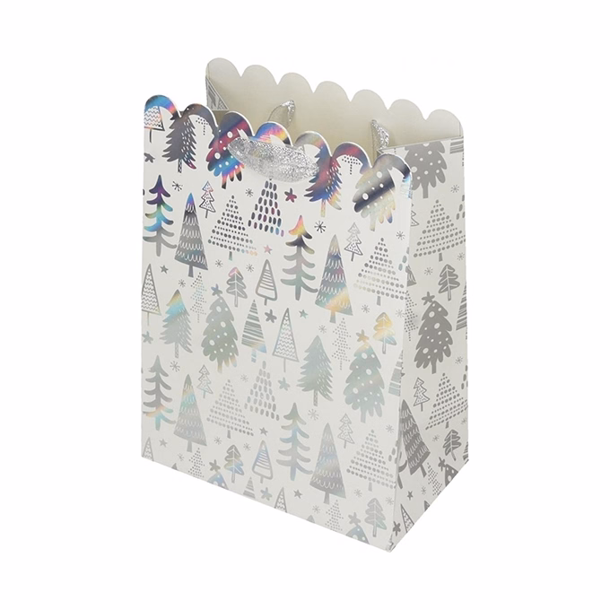 Dísztasak CREATIVE Deluxe Plus M 18x23x10 cm karácsonyi csillagos matt ezüst szalagfüles