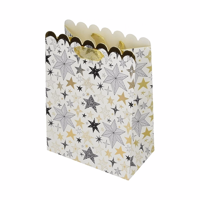 Dísztasak CREATIVE Deluxe Plus M 18x23x10 cm karácsonyi csillagos matt ezüst szalagfüles