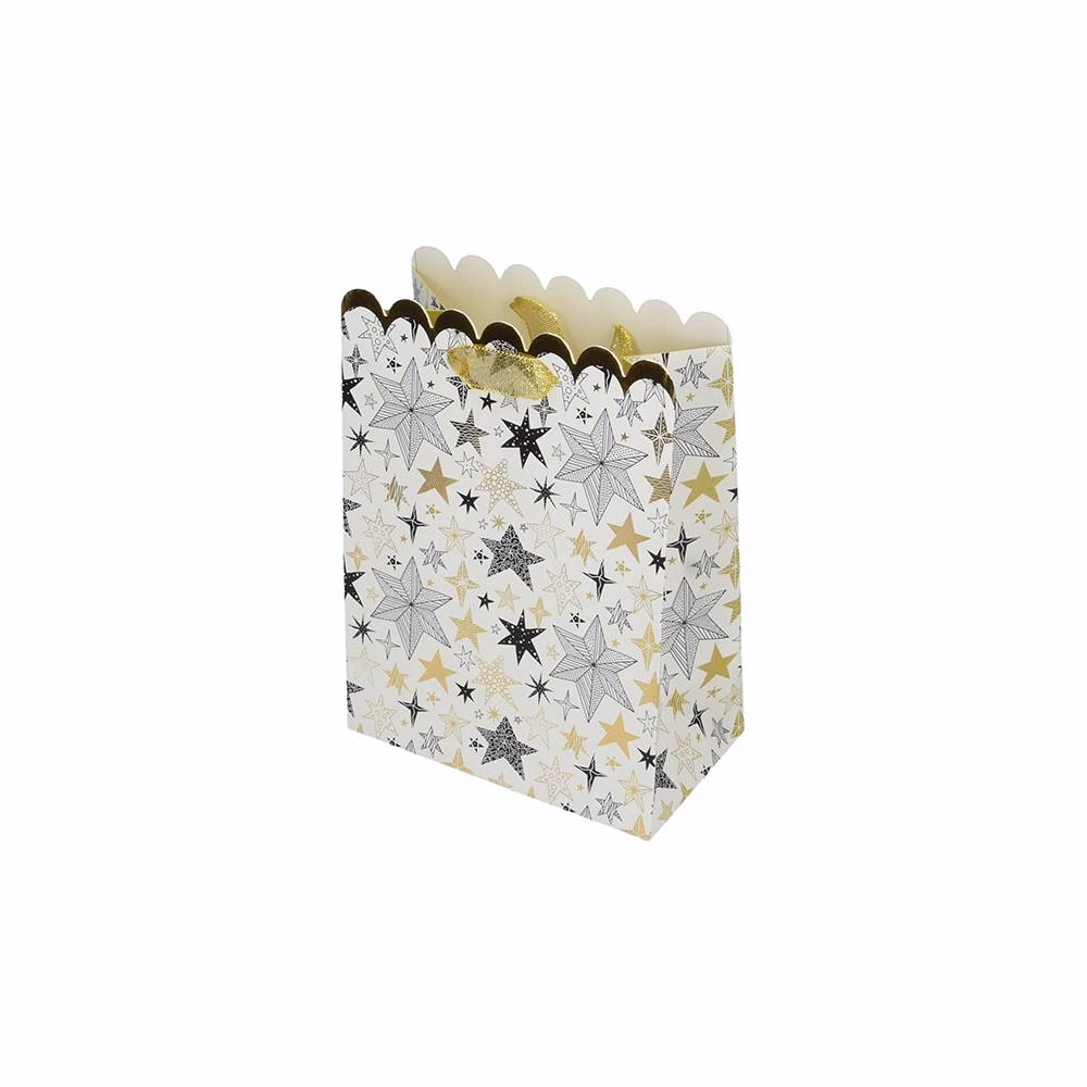 Dísztasak CREATIVE Deluxe Plus M 18x23x10 cm karácsonyi csillagos matt ezüst szalagfüles