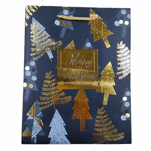 Dísztasak CREATIVE Deluxe Plus M 18x23x10 cm karácsonyi matt fóliás sodort füles