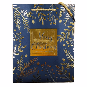 Dísztasak CREATIVE Deluxe Plus M 18x23x10 cm karácsonyi matt fóliás sodort füles