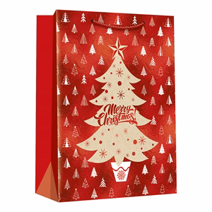 Dísztasak CREATIVE Deluxe Plus M 18x23x10 cm karácsonyi matt fóliás sodort füles