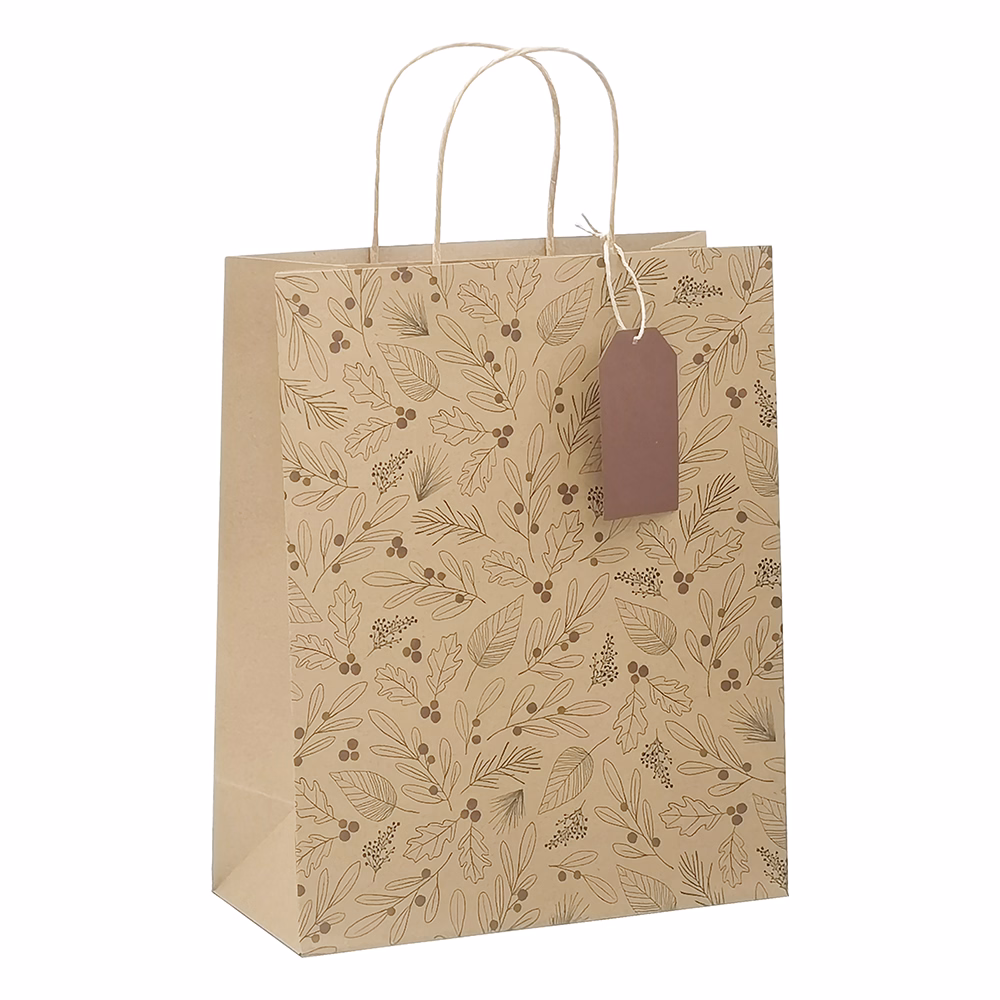 Dísztasak CREATIVE ECO Delucm x Plus L 32cm x 26cm x 12 cm kraft fóliás levél mintás sodort füles