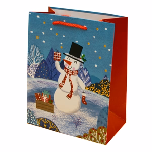 Dísztasak CREATIVE Luxury M 18x23x10 cm karácsonyi havas mintás matt zsinórfüles