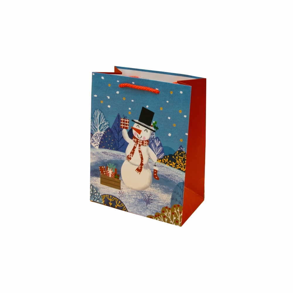 Dísztasak CREATIVE Luxury M 18x23x10 cm karácsonyi havas mintás matt zsinórfüles