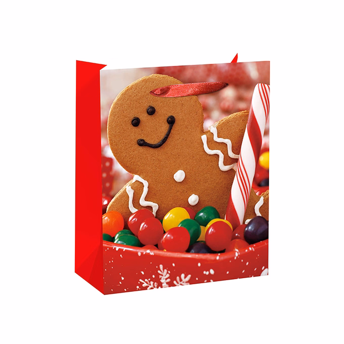 Dísztasak CREATIVE Special M 18x23x10 cm karácsonyi színes fényes szalagfüles