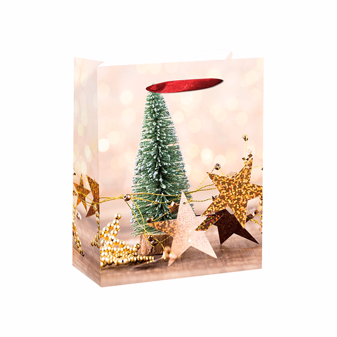 Dísztasak CREATIVE Special M 18x23x10 cm karácsonyi színes fényes szalagfüles