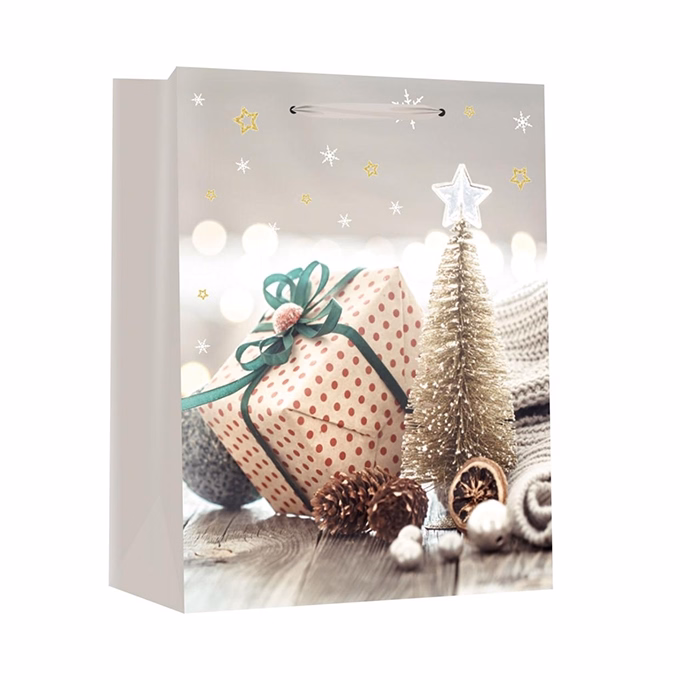 Dísztasak CREATIVE Special M 18x23x10 cm karácsonyi színes fényes szalagfüles