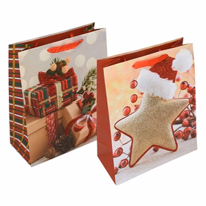 Dísztasak CREATIVE Special Plus L 26x32x12 cm karácsonyi színes matt glitteres szalagfüles