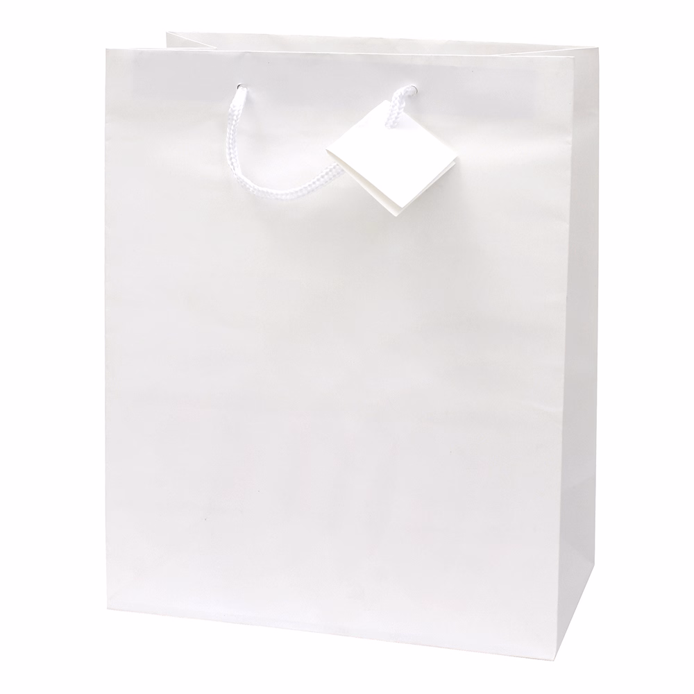 Dísztasak CREATIVE Special Simple L 26cm x 32cm x 12 cm egyszínű fehér zsinórfüles