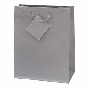 Dísztasak CREATIVE Special Simple M 18x23x10 cm egyszínű ezüst zsinórfüles