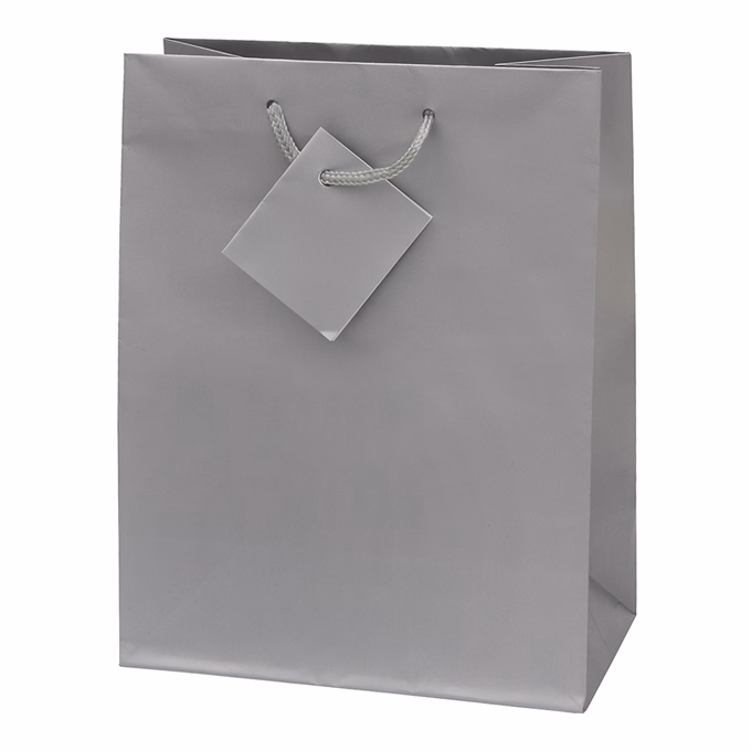Dísztasak CREATIVE Special Simple M 18x23x10 cm egyszínű ezüst zsinórfüles