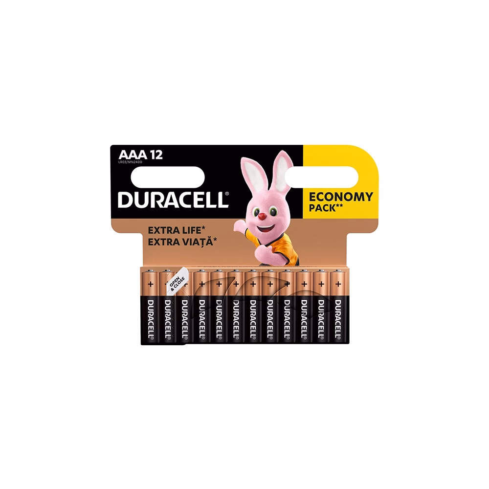 Elem mikro DURACELL Basic MN2400 AAA 12-es
