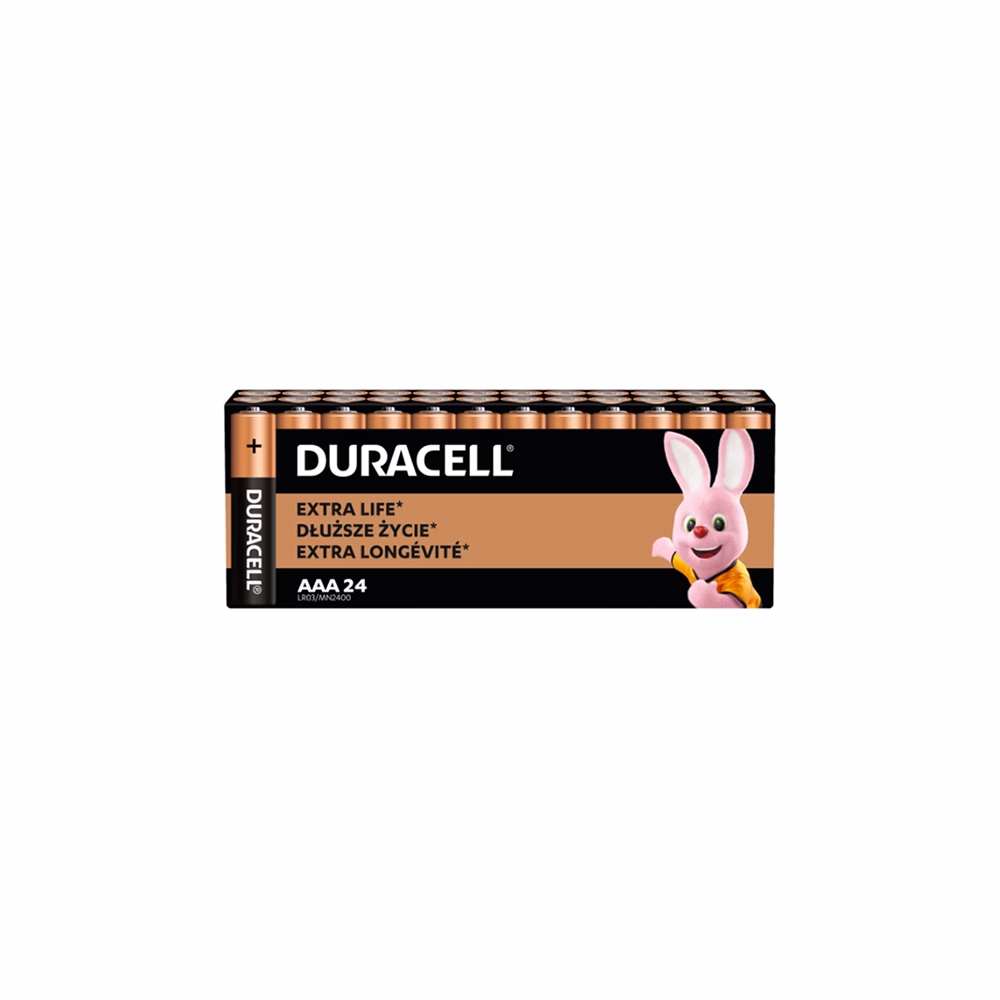 Elem mikro DURACELL Basic MN2400 AAA 24-es