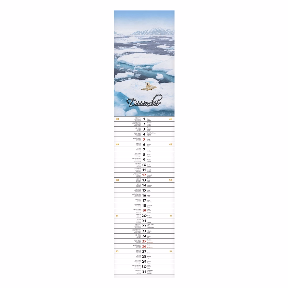 Falinaptár CSG 110x480mm álló Szép napot! jegyzetnaptár 2027