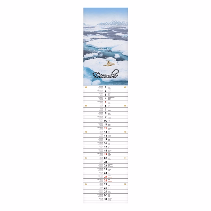 Falinaptár CSG 110x480mm álló Szép napot! jegyzetnaptár 2027