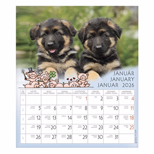 Falinaptár CSG 190x220mm álló Én és a barátaim 2026.