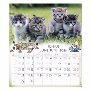 Falinaptár CSG 190x220mm álló Én és a barátaim 2026.