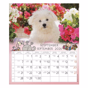 Falinaptár CSG 190x220mm álló Én és a barátaim 2026.