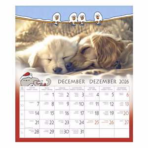 Falinaptár CSG 190x220mm álló Én és a barátaim 2026.