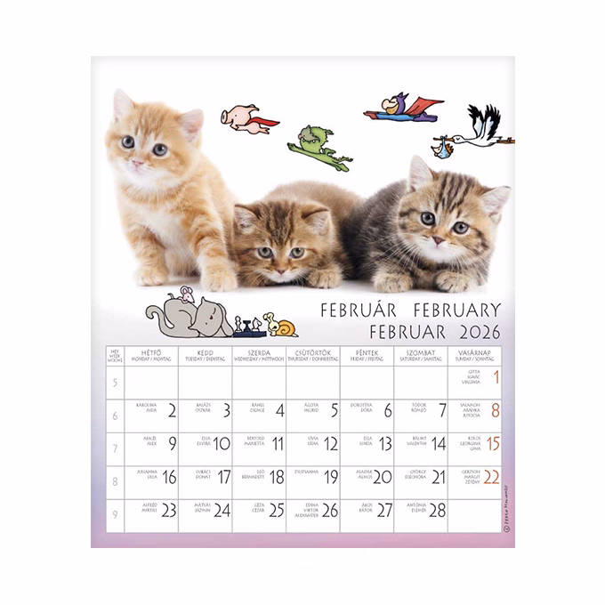 Falinaptár CSG 190x220mm álló Én és a barátaim 2026.