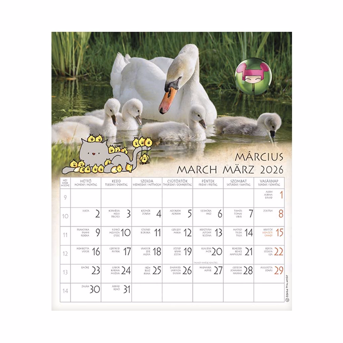 Falinaptár CSG 190x220mm álló Én és a barátaim 2026.