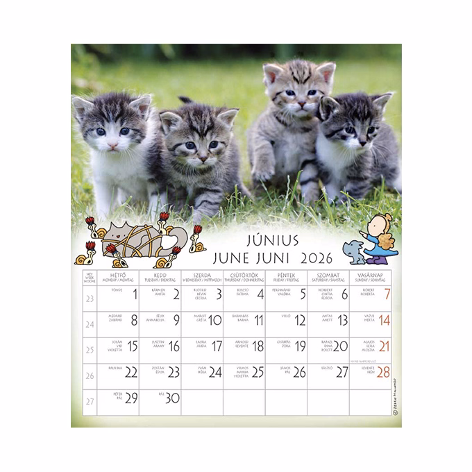 Falinaptár CSG 190x220mm álló Én és a barátaim 2026.