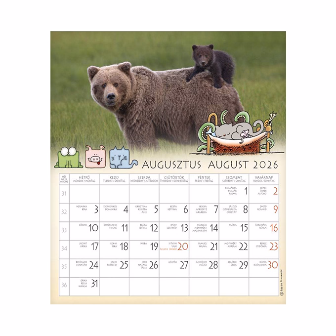 Falinaptár CSG 190x220mm álló Én és a barátaim 2026.