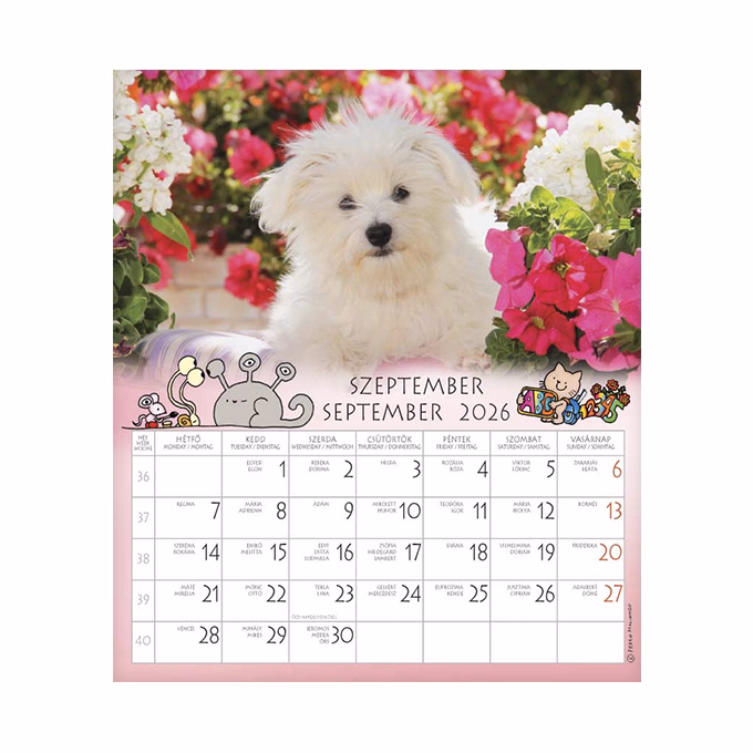 Falinaptár CSG 190x220mm álló Én és a barátaim 2026.