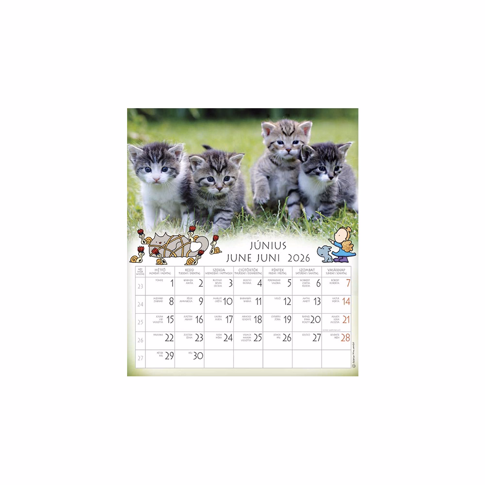 Falinaptár CSG 190x220mm álló Én és a barátaim 2026.