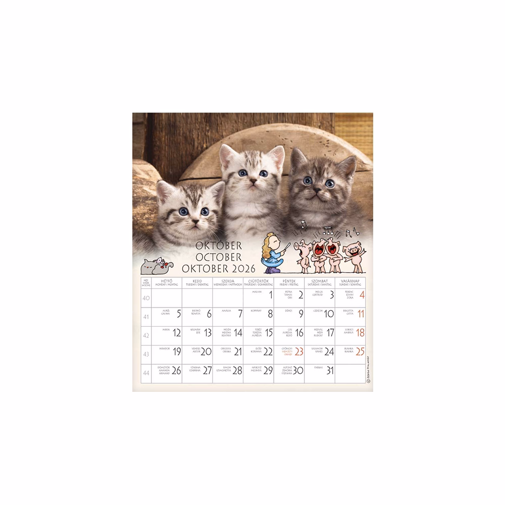 Falinaptár CSG 190x220mm álló Én és a barátaim 2026.