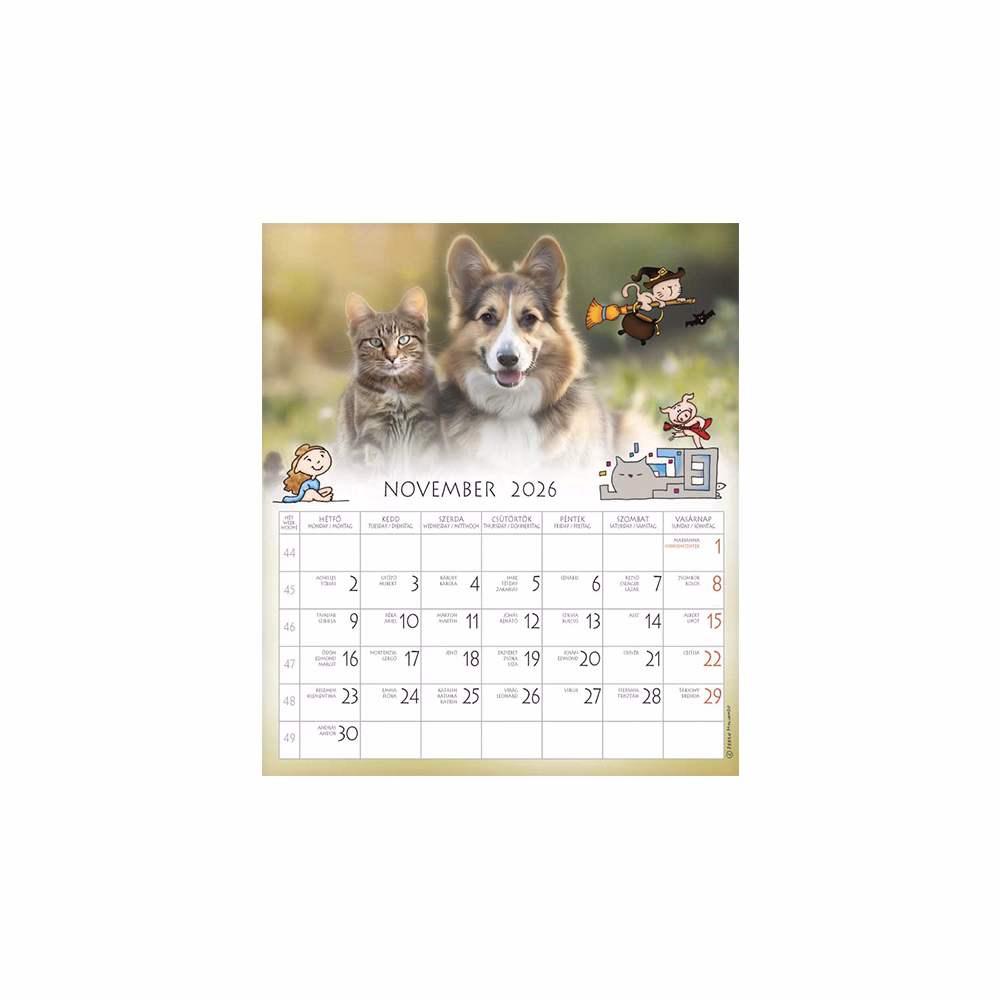 Falinaptár CSG 190x220mm álló Én és a barátaim 2026.