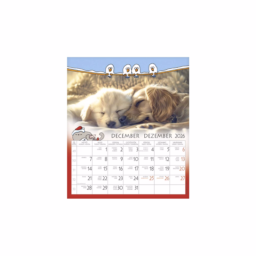 Falinaptár CSG 190x220mm álló Én és a barátaim 2026.