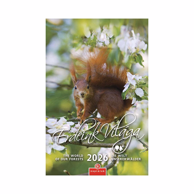 Falinaptár CSG 210x320mm álló Erdeink világa 2026.