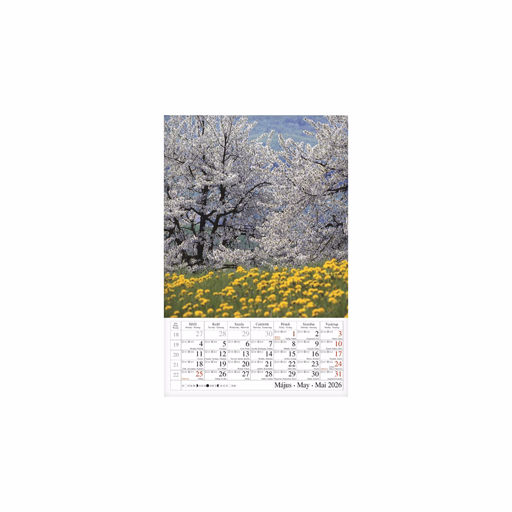 Falinaptár CSG 210x320mm álló Erdeink világa 2026.
