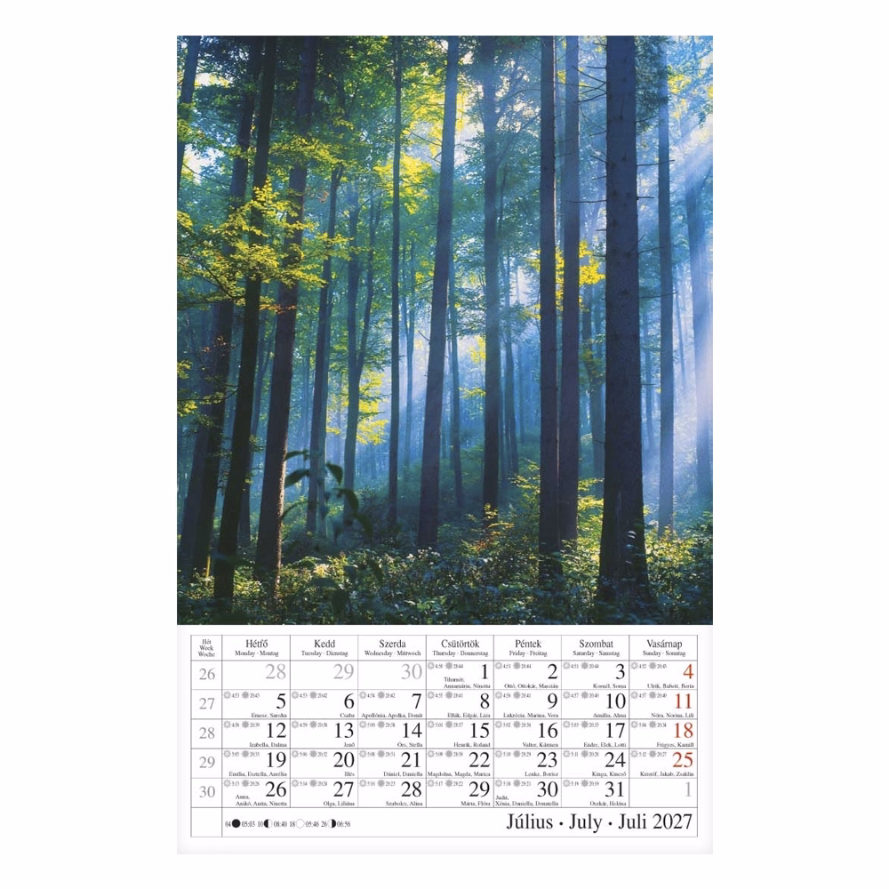 Falinaptár CSG 210x320mm álló Erdeink világa 2027