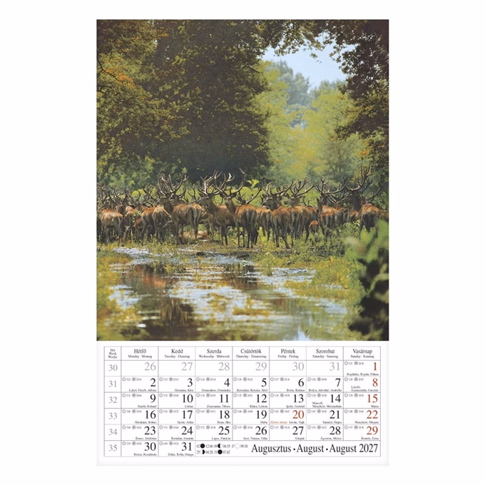 Falinaptár CSG 210x320mm álló Erdeink világa 2027